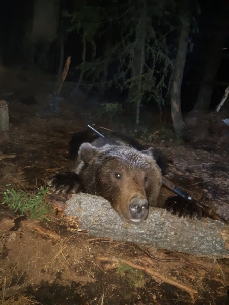 Восьмой Восьмой