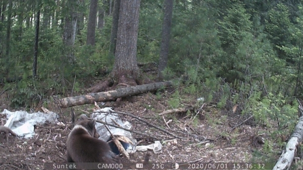 Восьмой Восьмой