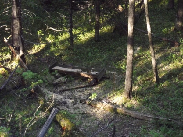 Моя охота на медведя весной 2020г. Моя охота на медведя весной 2020г.