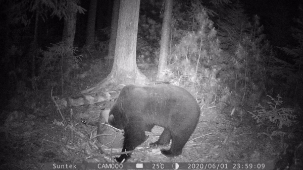 Восьмой Восьмой