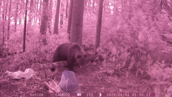 Восьмой Восьмой