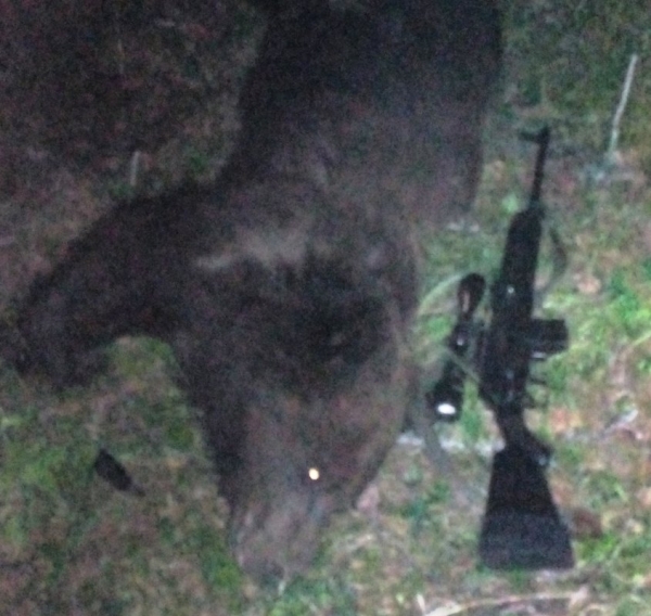 Моя охота на медведя весной 2020г. Моя охота на медведя весной 2020г.