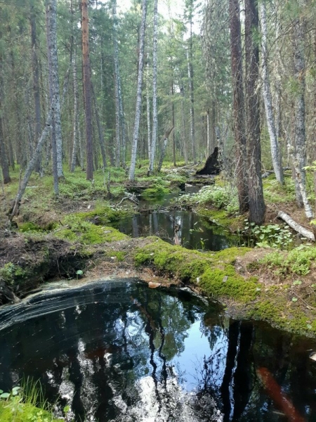 Восьмой Восьмой