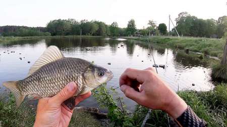 Хитрая снасть на карася Хитрая снасть на карася
