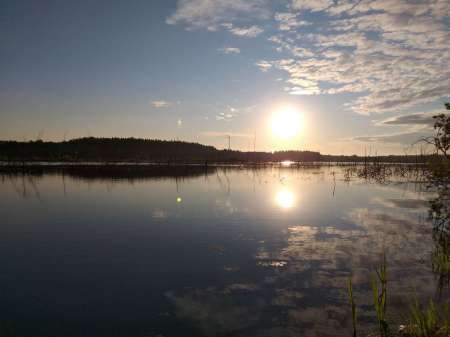 Хитрый карась. Эксперимент удался.