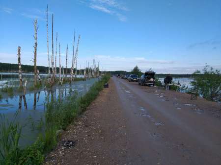 Хитрый карась. Эксперимент удался.