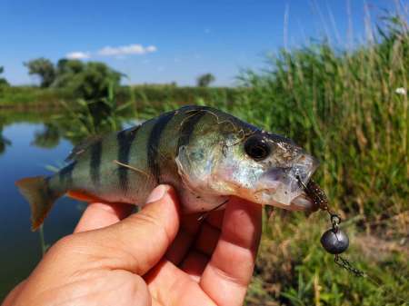 Летний микроджиг Летний микроджиг