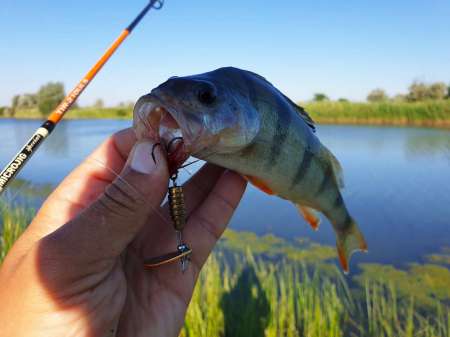 Летний микроджиг Летний микроджиг