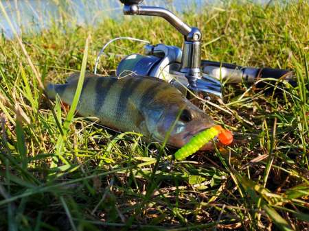 Летний микроджиг Летний микроджиг