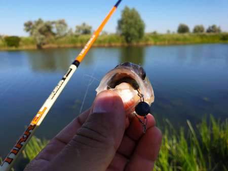 Летний микроджиг Летний микроджиг