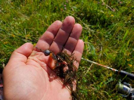 Летний микроджиг Летний микроджиг