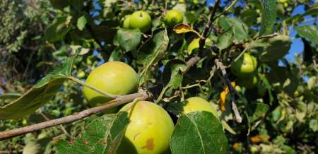 Летний микроджиг Летний микроджиг