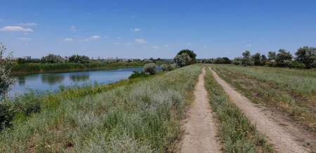 Летний микроджиг Летний микроджиг