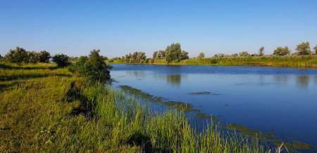 Летний микроджиг Летний микроджиг