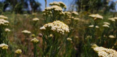 Летний микроджиг Летний микроджиг