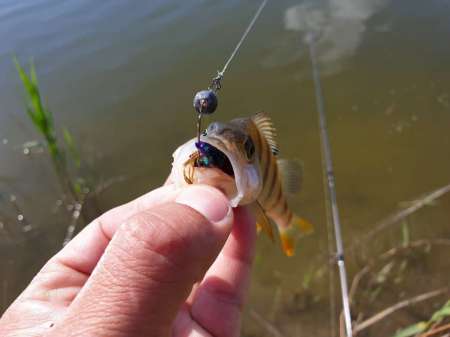 Микроджиг и ещё раз микроджиг