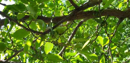 Микроджиг и ещё раз микроджиг