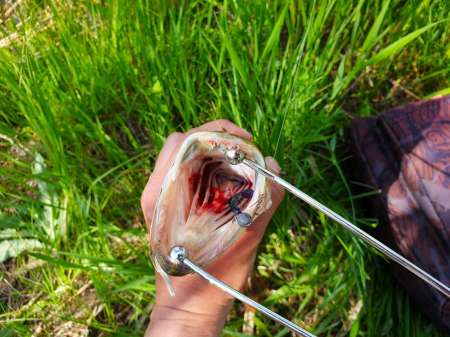 Микроджиг и ещё раз микроджиг