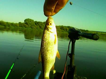 Открытие лодочного сезона на реке Быстрая Сосна