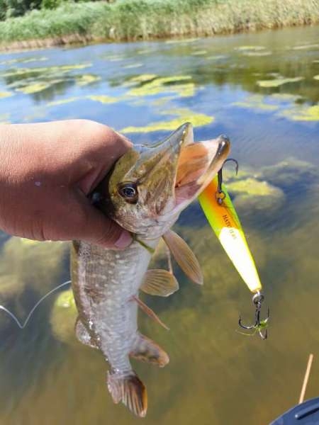 Открытие сезона лодочного джига