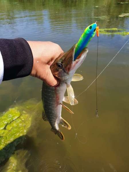 Открытие сезона лодочного джига