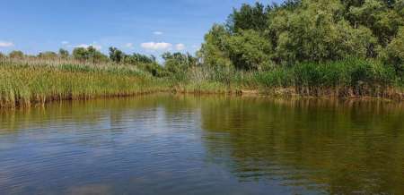 Открытие сезона лодочного джига