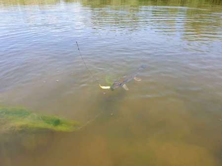 Открытие сезона лодочного джига