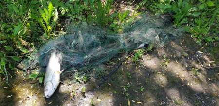 Открытие сезона лодочного джига