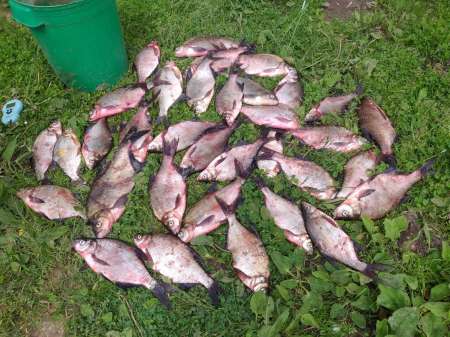 Оторвались на любимой реке. Вот это улов!