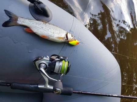 Первые окские голавли сезона 2020