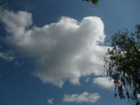 Позднее утро