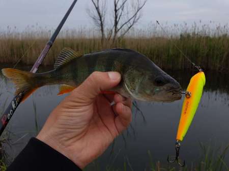 Разведка новых каналов