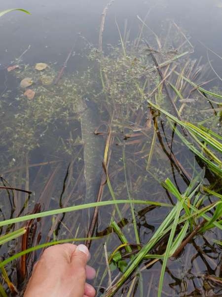 Разведка новых каналов