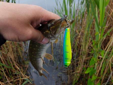 Разведка новых каналов