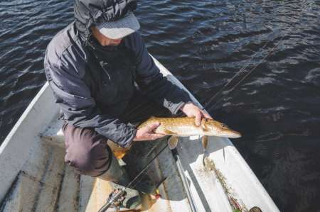 Рыбачим с отцом