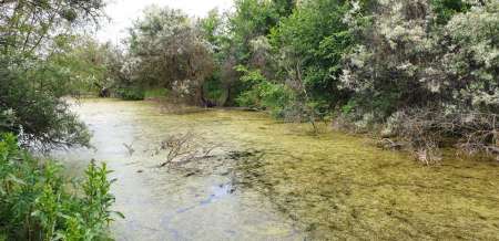 Рыбалка в июне не рыбалка... Рыбалка в июне не рыбалка...