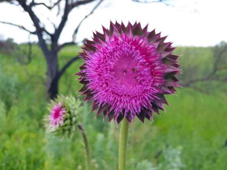 Рыбалка в июне не рыбалка... Рыбалка в июне не рыбалка...