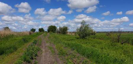 Рыбалка в июне не рыбалка... Рыбалка в июне не рыбалка...