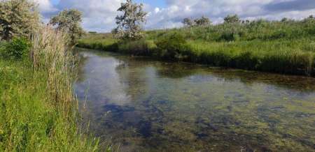 Рыбалка в июне не рыбалка... Рыбалка в июне не рыбалка...