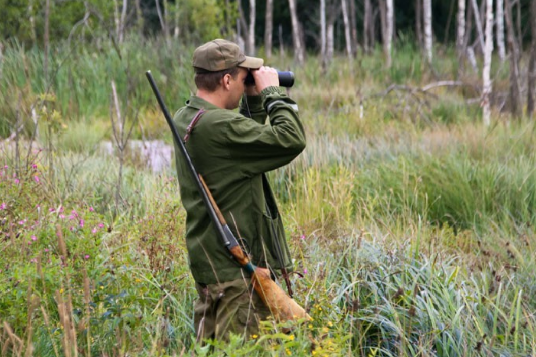 Как оформить разрешение на охотничье ружье