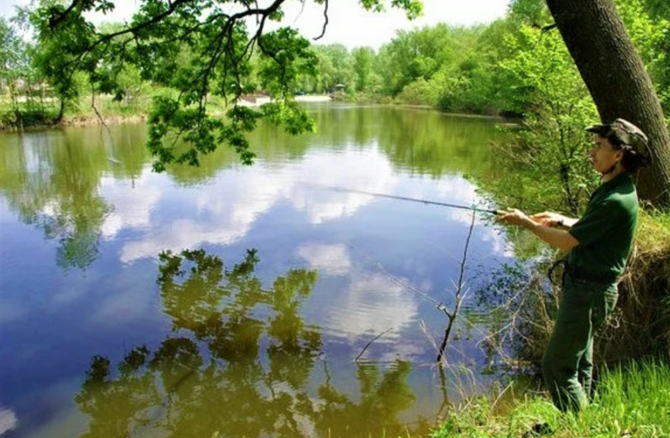 Что можно делать на водоеме картинки