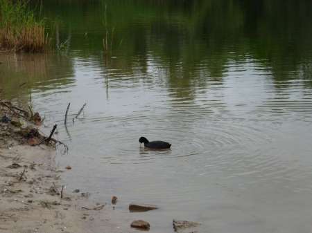 Жирная точка весеннего сезона
