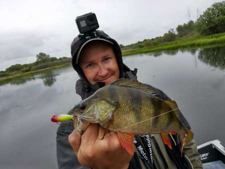Зрелищная рыбалка на попперы
