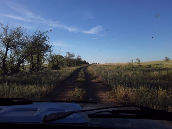 Открытие на сурка 2020 Открытие на сурка 2020