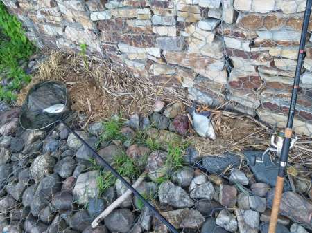 На подлещика в июле... Ловят бутерброды. На подлещика в июле... Ловят бутерброды.