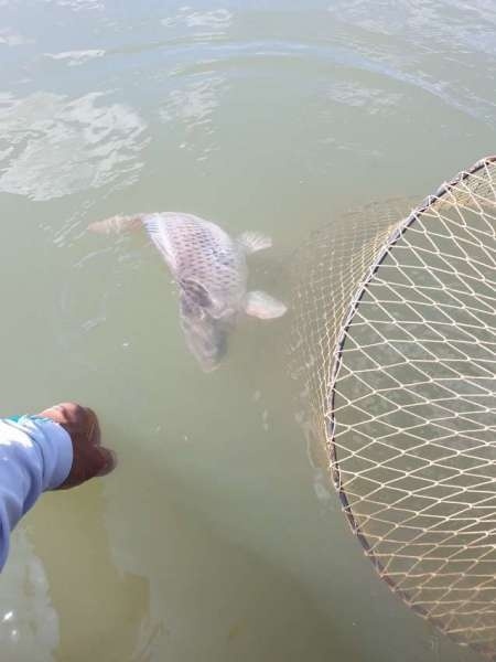 На реку с лодкой за лещом и сазаном