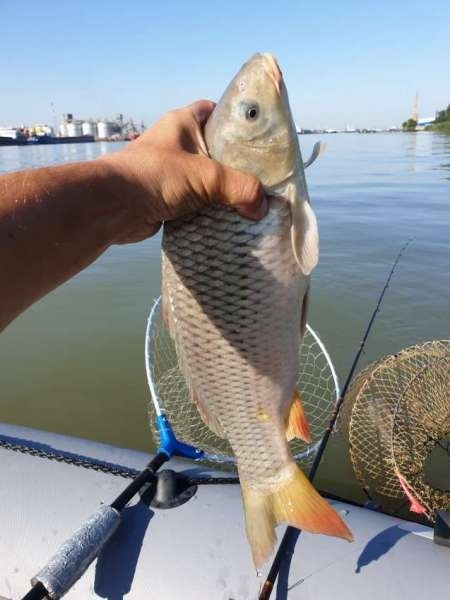 На реку с лодкой за лещом и сазаном