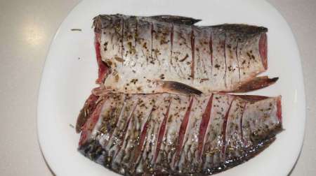 Ночная рыбалка на День рыбака