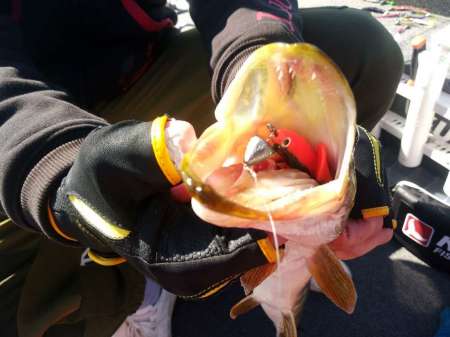 Огромная щука на ультралайтовый спиннинг