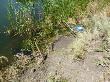 Отдых с маховой удочкой Отдых с маховой удочкой